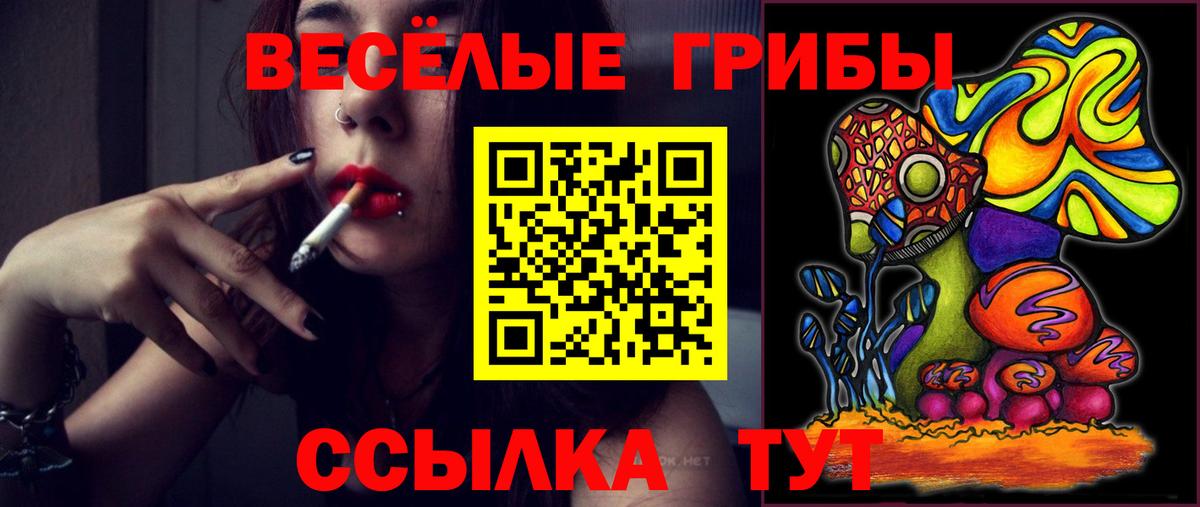 Галлюциногенные грибы GOLDEN TEACHER Аргун