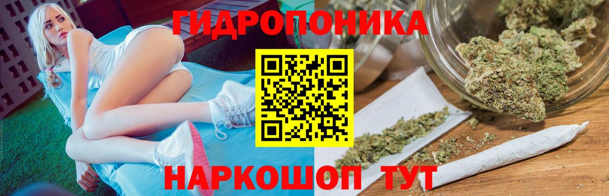 МАРИХУАНА ГИДРОПОН Аргун